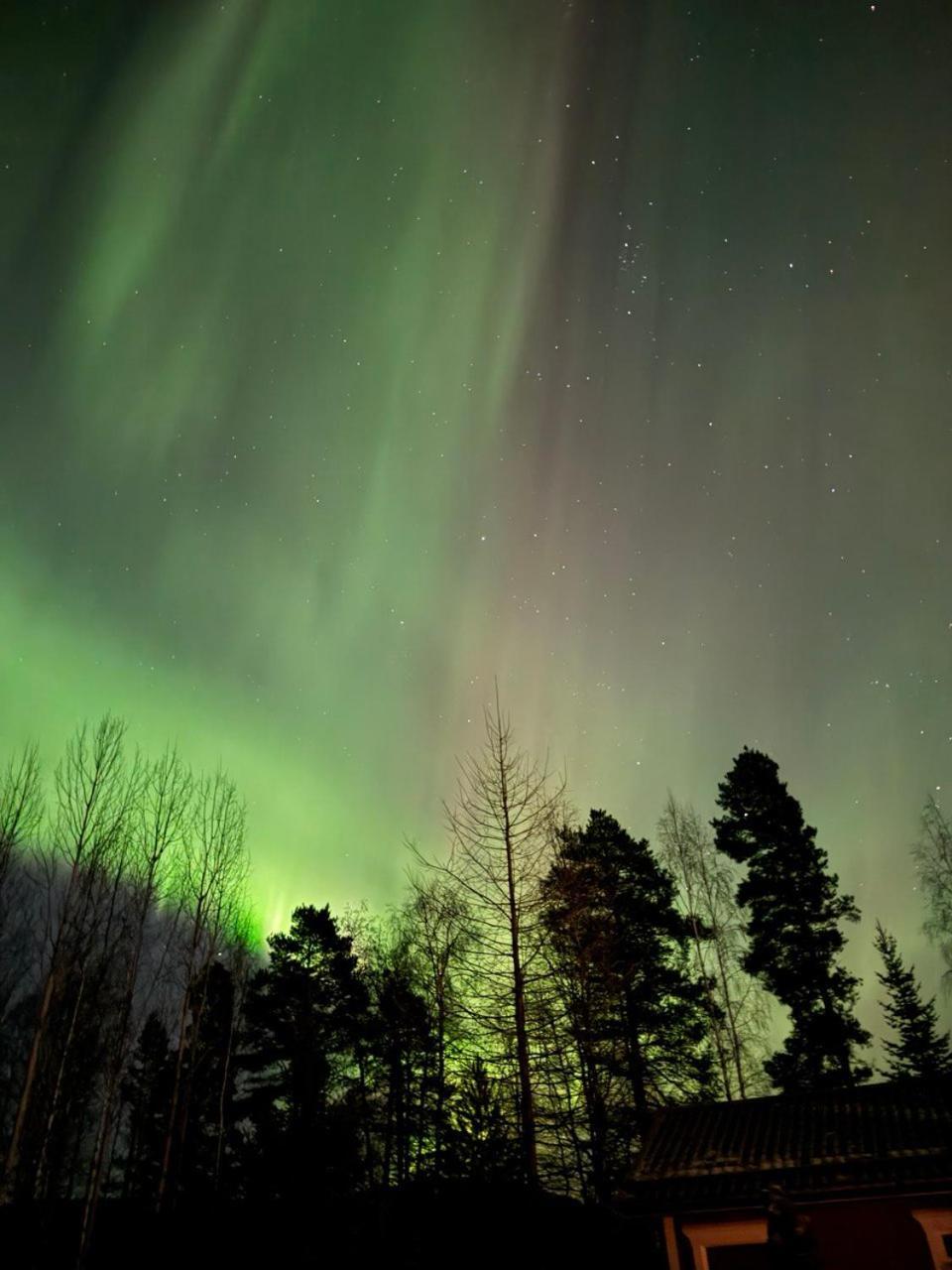 Lossisaari Tourist Center Keitele Exteriör bild